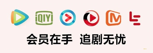 虚拟VIP会员代理平台技术架构
